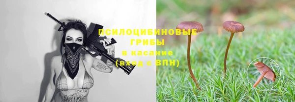 экстази Алексин