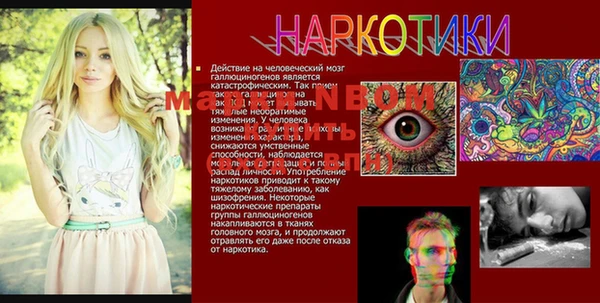 ПСИЛОЦИБИНОВЫЕ ГРИБЫ Алзамай