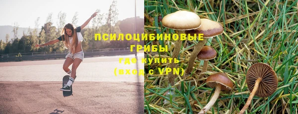 экстази Алексин
