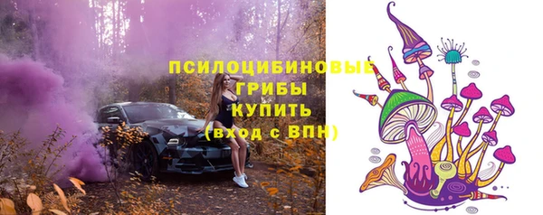 ПСИЛОЦИБИНОВЫЕ ГРИБЫ Алзамай