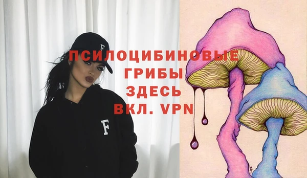 ПСИЛОЦИБИНОВЫЕ ГРИБЫ Алзамай
